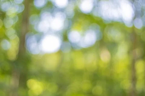 Bokeh, leaf blur, light shining through green leaves, background Stock Photos
