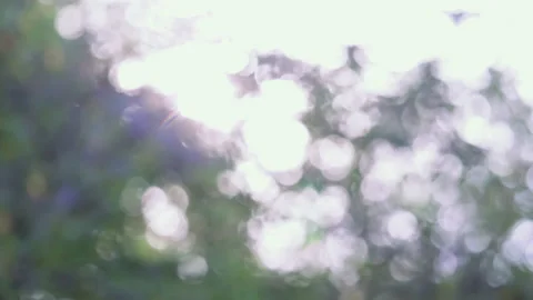 Bokeh of leafs moving in the wind with fading into white frame Stock-Footage 147999241