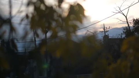 Bokeh leaves with background mountain during sunset. Leaves from blur to sharp. Stock Footage 76616918