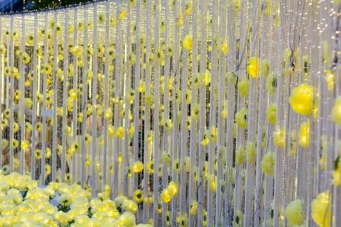 Bokeh Led Foto stock