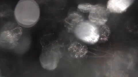 Bokeh light background, circular ring, defocused light leak flames Stock-Footage 317540710