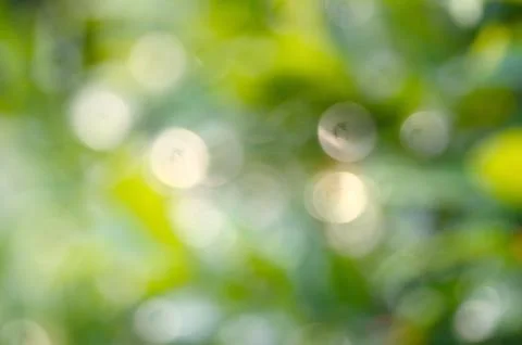 Bokeh light background Stock Photos