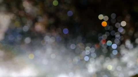 Bokeh light circles Stock Footage 239940054