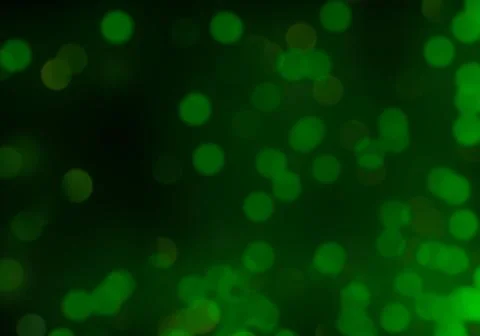 Bokeh of light on dark background. Various patterns. Stock Illustration