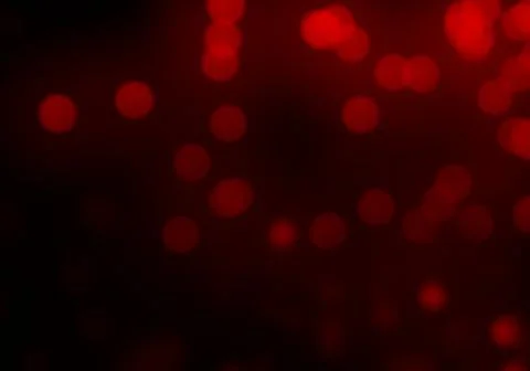 Bokeh of light on dark background. Various patterns. 스톡 일러스트