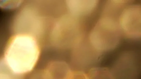 Bokeh light effect background Stock Footage 340858476