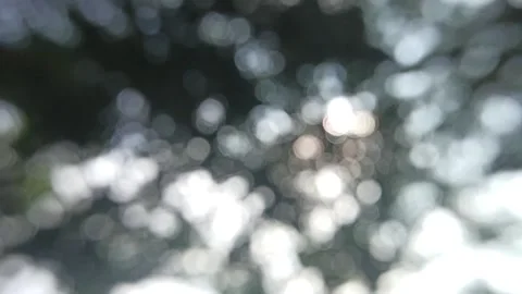 Bokeh light in the forest Stock Footage 145128800
