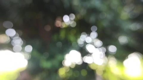 Bokeh light in the garden Stock Footage 144361767