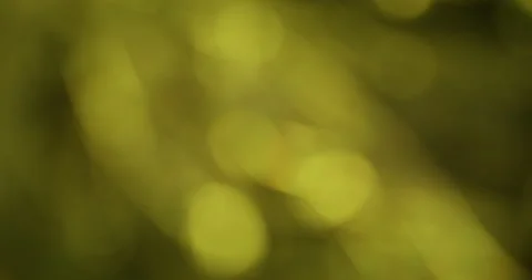 Bokeh light yellow glitter texture flare glisten Stock Footage 343737692