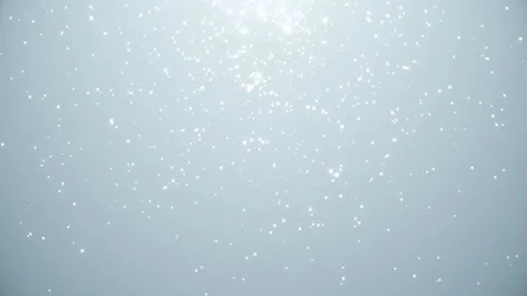 Bokeh lights. Festive motion backdrop. Defocused light background. Stock Footage 124281611