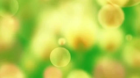 Bokeh lights motion graphics with green screen background Stock Footage 135016849