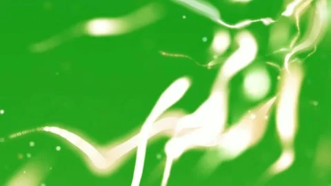 Bokeh lights motion graphics with green screen background Stock Footage 139184896
