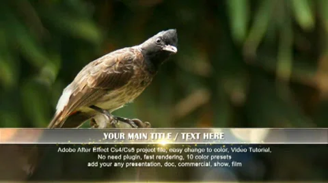 Bokeh Lower Third  After Effects	Stock