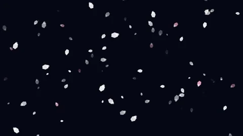 Bokeh moon light falling soft white and pink petals on black background Stock-Footage 345831403