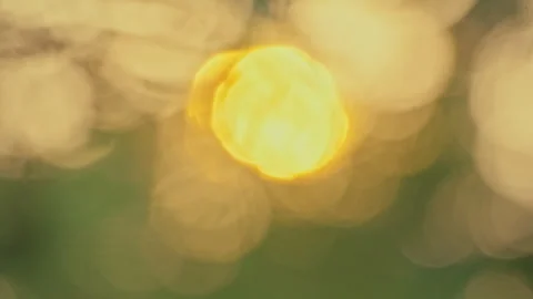 Bokeh Natural Light: Close-up Abstract Background with Soft Lens Flares 스톡 동영상 322938368