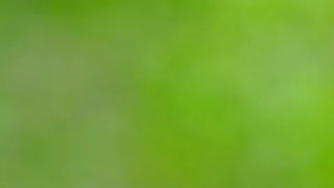 Bokeh Nature background out of focus. Stock Footage 140383428