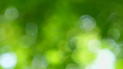 Bokeh Nature background out of focus. Stock Footage 140383600