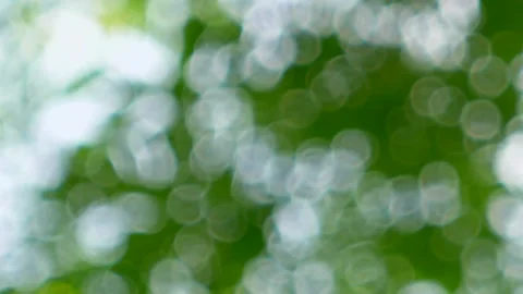 Bokeh Nature background out of focus. Stock Footage 140383636