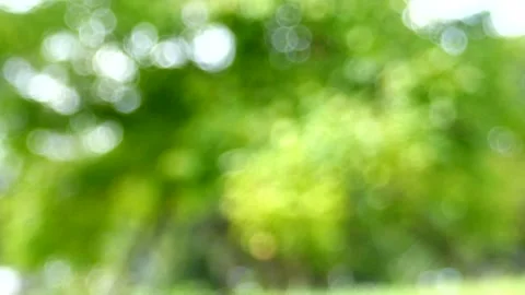 Bokeh Nature background out of focus. Stock Footage 140383840