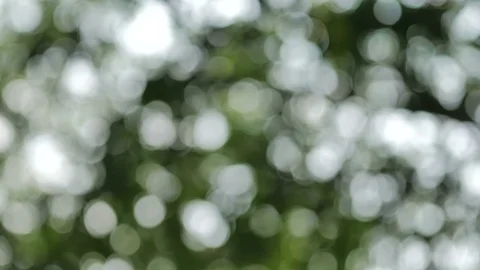 Bokeh Nature background  pan camera Stock Footage 75438733