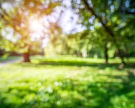 Bokeh nature background Stock Photos