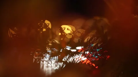 Bokeh at night behind flowers. Stock Footage 145289949