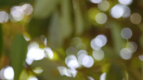 Bokeh out of focus background  HD footage Stock Footage 47436006