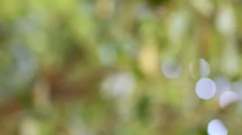 Bokeh out of focus background  HD footage Stock Footage 47436726