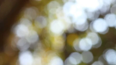 Bokeh out of focus background  HD footage Stock Footage 47438286