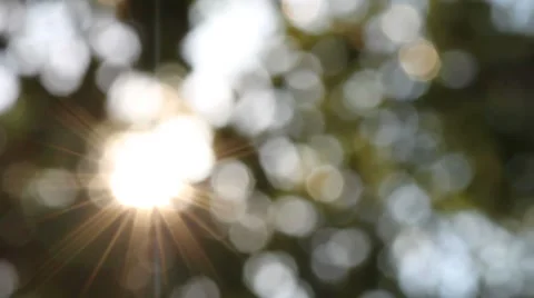 Bokeh out of focus background  HD footage Stock Footage 47438882