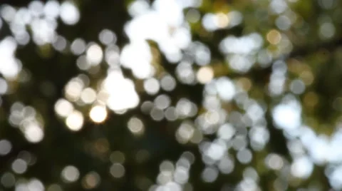 Bokeh out of focus background  HD footage Stock Footage 47440287