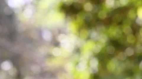 Bokeh out of focus background  HD footage Stock Footage 47441797