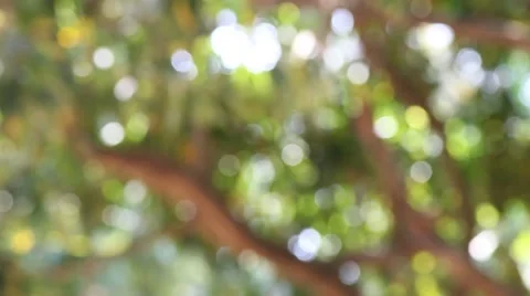 Bokeh out of focus background  HD footage Stock Footage 47442605