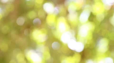 Bokeh out of focus background  HD footage Stock Footage 47444019