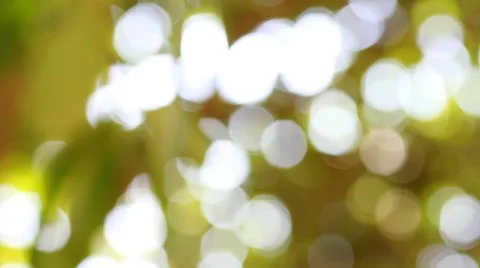 Bokeh out of focus background  HD footage Stock Footage 47445330