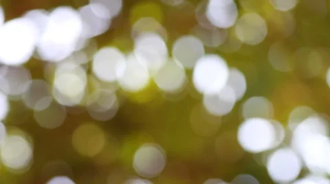 Bokeh out of focus background  HD footage Stock Footage 47446804