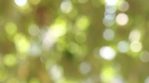 Bokeh out of focus background  HD footage Stock Footage 47448648