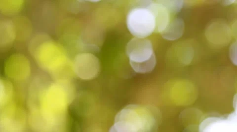 Bokeh out of focus background  HD footage Stock Footage 47449489
