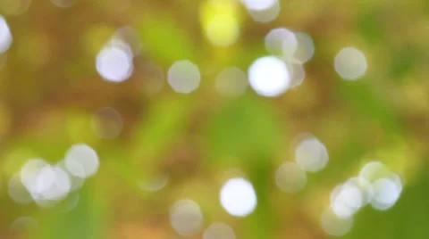 Bokeh out of focus background  HD footage Stock Footage 47451361