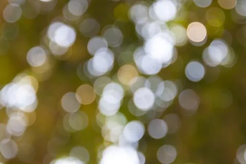 Bokeh out of focus background Stock Photos
