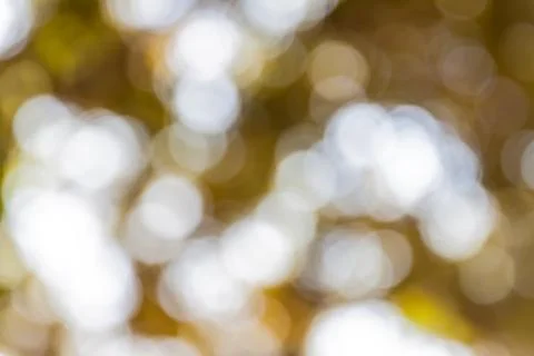 Bokeh out of focus background Stock Photos