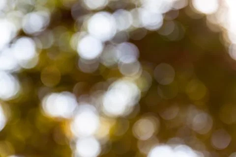 Bokeh out of focus background Stock Photos