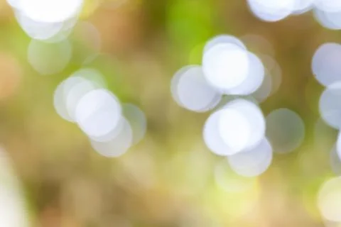 Bokeh out of focus background Stock Photos
