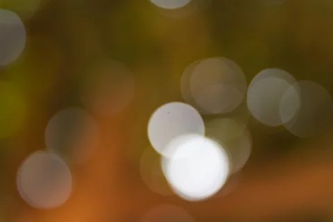 Bokeh out of focus background Stock Photos