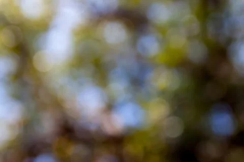 Bokeh out of focus background Stock Photos