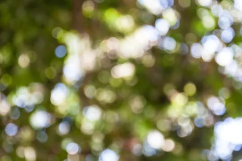 Bokeh out of focus background Stock Photos