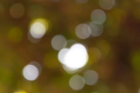 Bokeh out of focus background Stock Photos