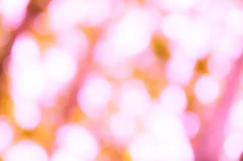 Bokeh Foto stock