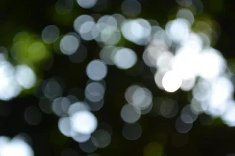 Bokeh. Stock Photos
