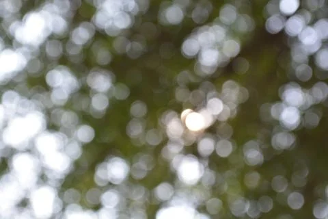 Bokeh. 스톡 사진